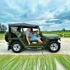Jeep Tour To My Son Sanctuary- Vietnam Vacation Travel
