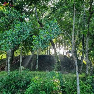 My Son Sanctuary Sunset Tour- Vietnam Vacation Travel