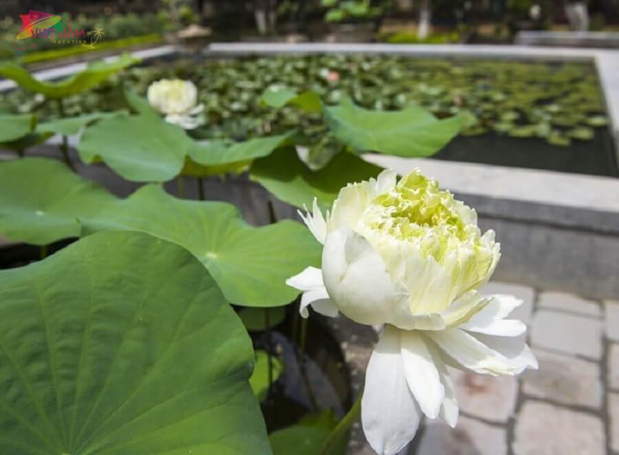 an hien garden house hue - vietnam vacation travel