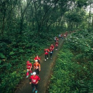 Cuc Phuong National Park Tour - Vietnam Vacation Travel