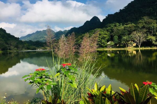 Cuc Phuong National Park Tour From Ninh Binh - Vietnam Vacation Travel