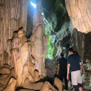 Cuc Phuong National Park Tour From Ninh Binh - Vietnam Vacation Travel