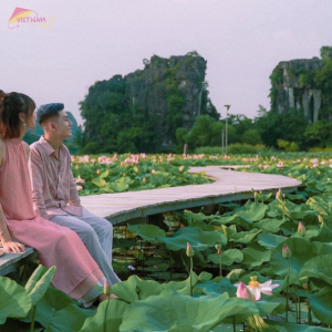 Hoa Lu- Tam Coc- Mua Cave Tour 1 Day- Vietnam Vacation Travel