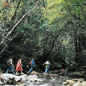Five Lakes Trail in Bach Ma National Park - Vietnam Vacation Travel