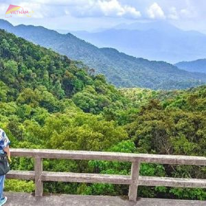 Bach Ma National Park Tour From Hoi An - Vietnam Vacation Travel