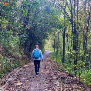 Bach Ma National Park Trekking Tour - Vietnam Vacation Travel