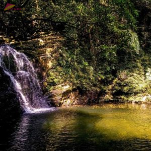 Bach Ma National Park Tour Trekking and Camping - Vietnam Vacation Travel