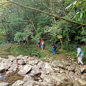 Trekking tour Bach Ma National Park - Vietnam Vacation Travel