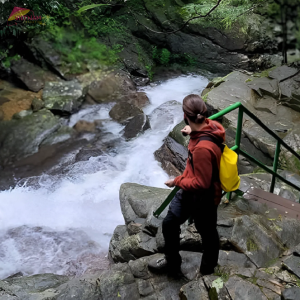 Bach Ma National Park Trekking Tour 2D1N - Vietnam Vacation Travel