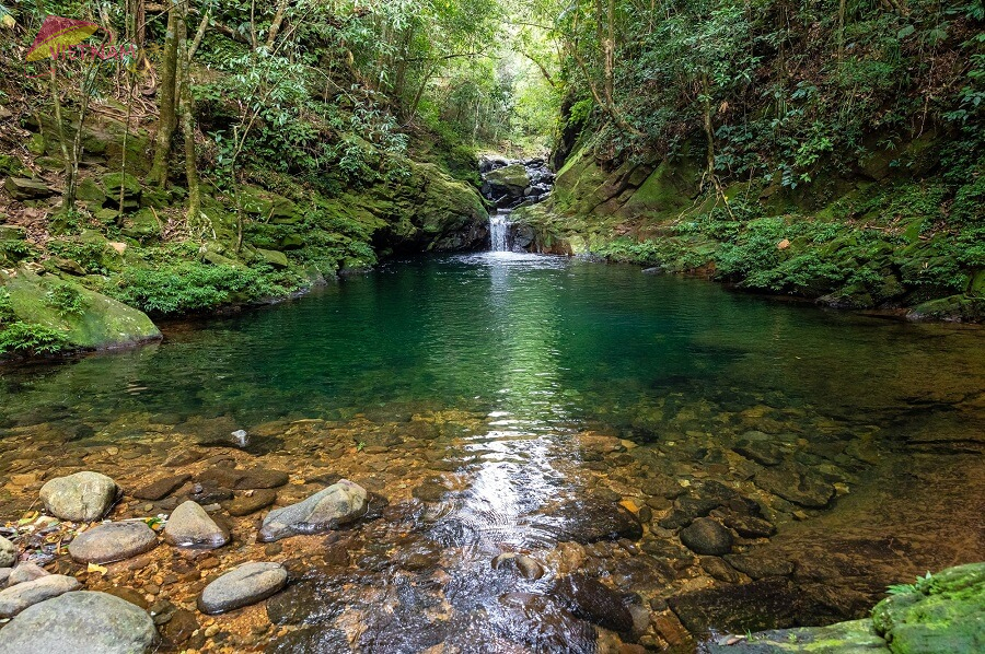 Five Lakes Trail Bach Ma National Park - Vietnam Vacation Travel