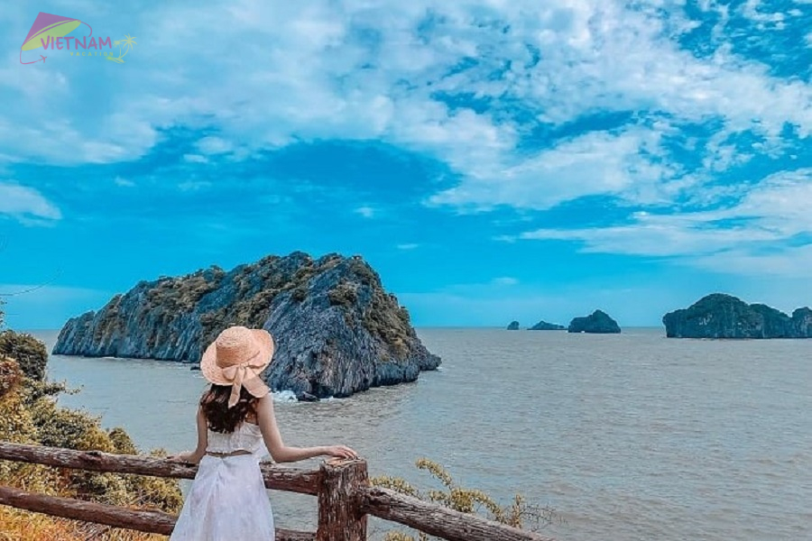 Travel from Ninh Binh to Cat Ba Island - Vietnam Vacation Travel