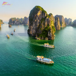 HaLong Bay Cruises