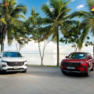 Dalat to Vung Tau Private Car- Vietnam Vacation Travel