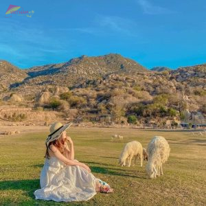 Nha Trang To Phan Rang By Car - Vietnam Vacation Travel