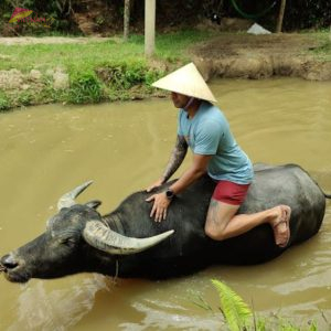 Dong Hoi to Duck Stop By Private Car- Vietnam Vacation Travel