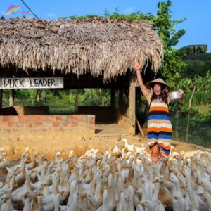 Dong Hoi to Duck Stop By Private Car- Vietnam Vacation Travel