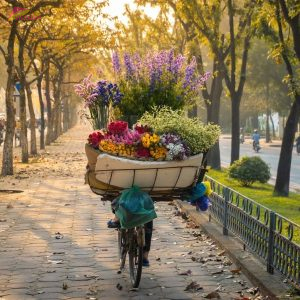 Cat Ba Island To Hanoi By Private Car - Vietnam Vacation Travel